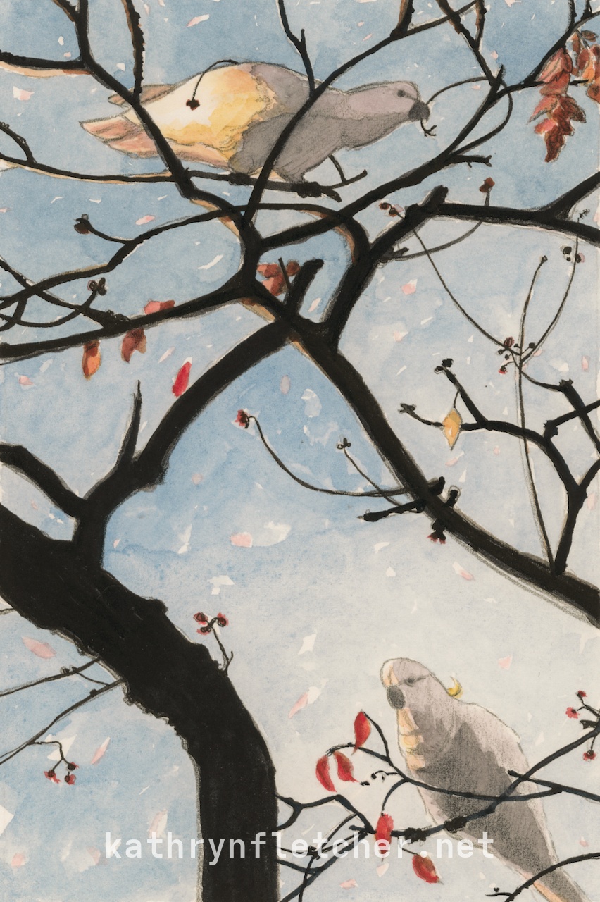 Morning Cockatoos - Watercolor